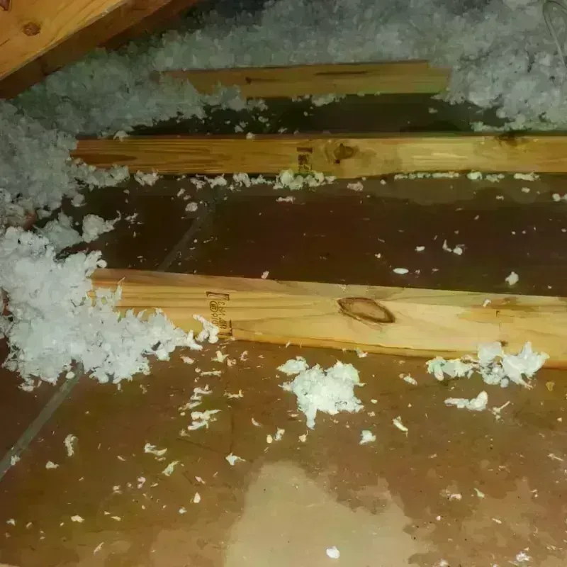 Attic Water Damage in Ganado, AZ