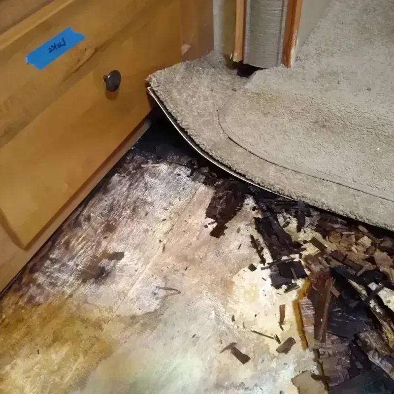 Wood Floor Water Damage in Ganado, AZ